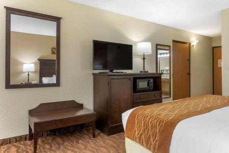 Comfort Inn at Thousand Hills - 53