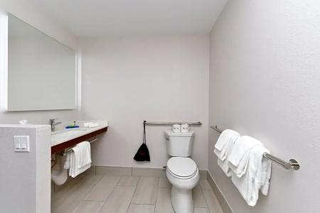 Holiday Inn Express Orlando - South Park, An Ihg - 68