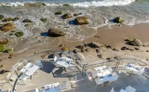 Malibu Beach Inn - 25