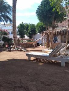 Sunrise Dahab Camp - 16