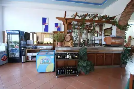 Lepenica - 1