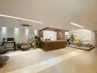 The Luxe - 9
