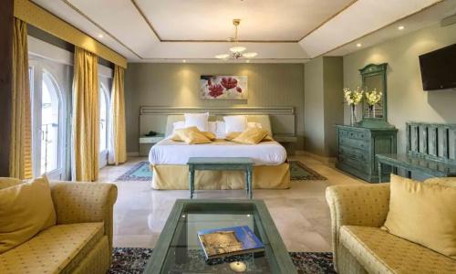 Sercotel Alfonso Vi - 57