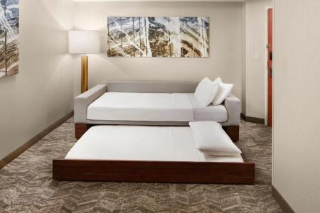 SpringHill Suites by Marriott Virginia Beach Oceanfront - 6
