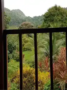 Phanom Bencha Mountain Resort - 52