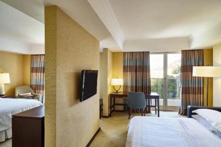 Sheraton Grand Rio & Resort - 117