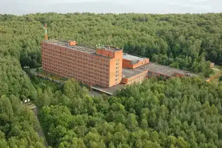 Березовая роща - 10