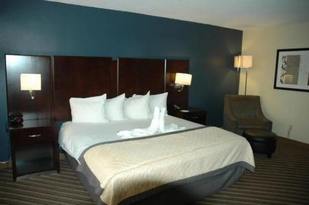 Wyndham Garden Norfolk Downtown - 67