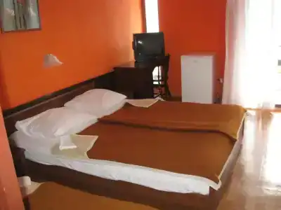 Kamelija - 33