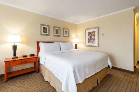 Allure & Conference Centre, Ascend Collection - 6