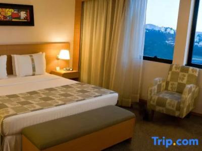 Holiday Inn Parque Anhembi, An Ihg - 56