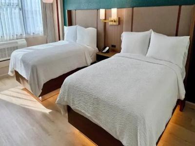 Holiday Inn Houston s - Nrg Area - Med Ctr, An Ihg - 61