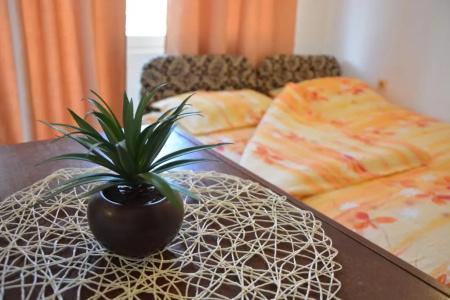 Guest House Vera - 57