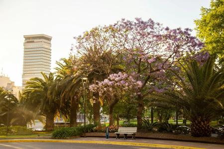 Park Tower, A Luxury Collection, Buenos Aires - 34