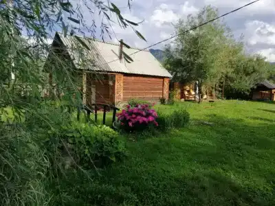 Алтайна - 0