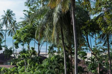 Anda Lanta Resort - 112