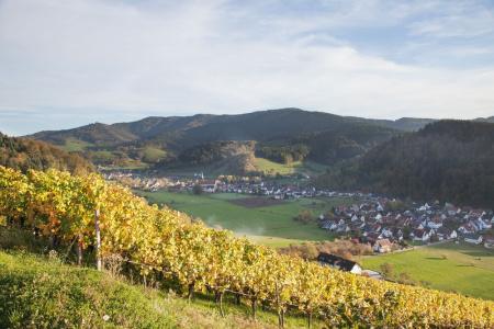 Gasthaus Adler - 16