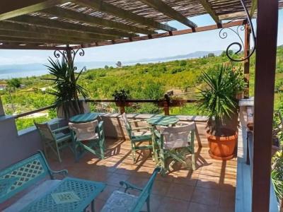 Seralis Pelion - 27