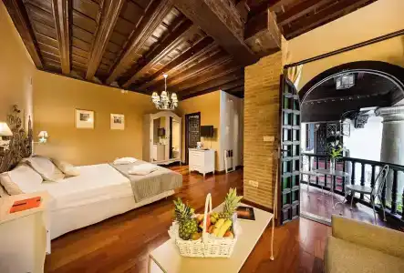 Palacio de Mariana Pineda - 1