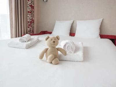 Mercure Clermont Ferrand centre Jaude - 91