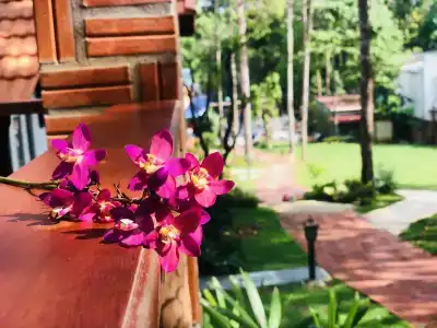 Đồi Sao Phú Quốc - 11
