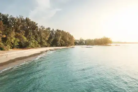 Avani+ Khao Lak Resort - 48