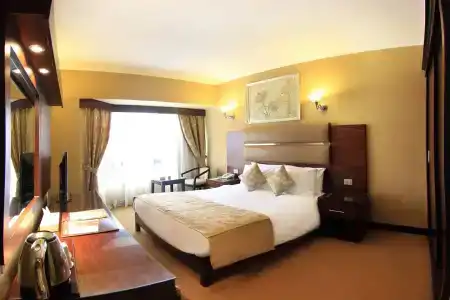 Pyramisa Suites Cairo - 8