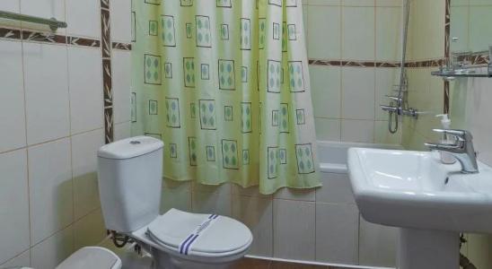 Гетман - 9