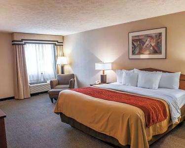 Comfort Inn Indianapolis South I-65 - 30