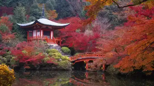 Slowtime Kyoto - 25