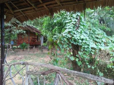 Phayam Garden View - 16