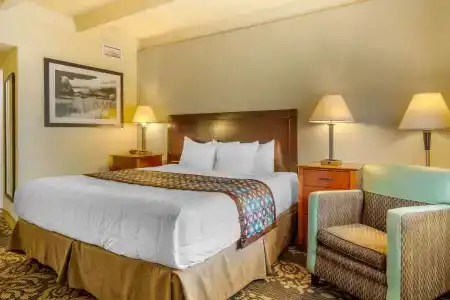 Rodeway Inn Denver Downtown - 6