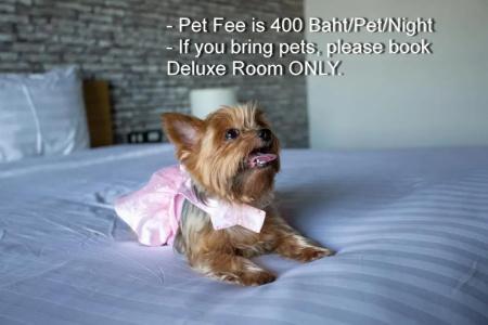 Get Zleep Premium Budget - 39