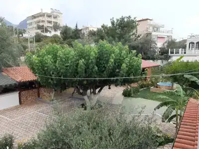 Yard Paradise - 1