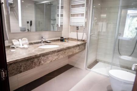 Grand Aras & Suites - 76