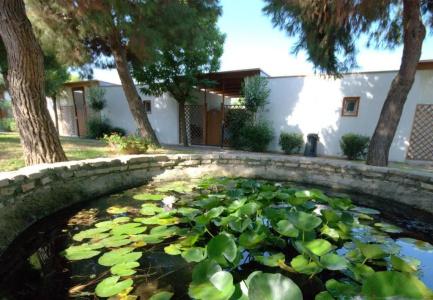 Villaggio Albatros - 44
