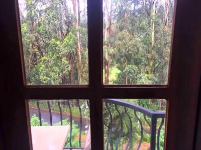 Panorama Green View Nuwara Eliya - 24
