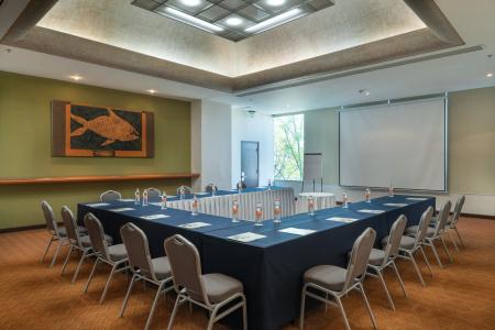 Holiday Inn Guadalajara Select, An Ihg - 32
