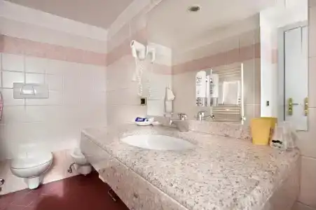 Albergo Alla Rosa - 78