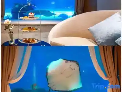 Dali Manju Ocean - 33