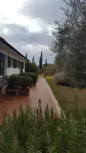 Ghiaccio Bosco - 32