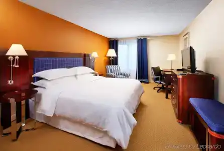 Sheraton Bellevue - 21