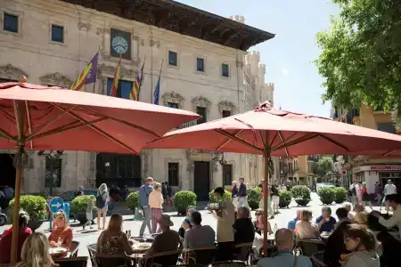 Cappuccino - Palma - 22