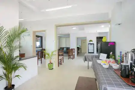 Cairns City Palms - 21