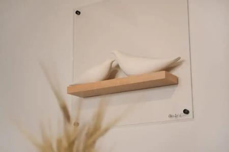 Pavo Art - 84