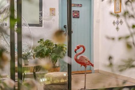 Baisha Flamingo - 62