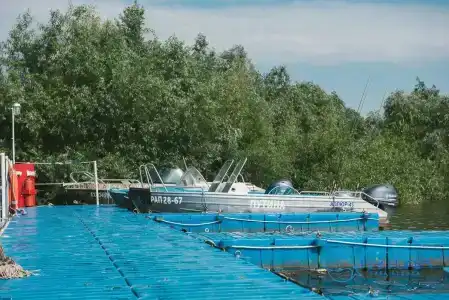 Путина - 10