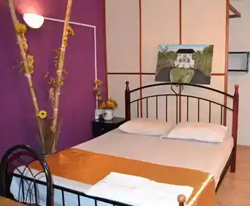 Residence Les Bambous - 56
