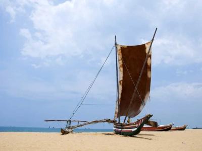 Zand Negombo - 17