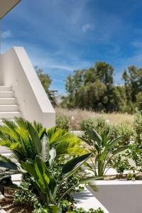 Opalia Suites - 40